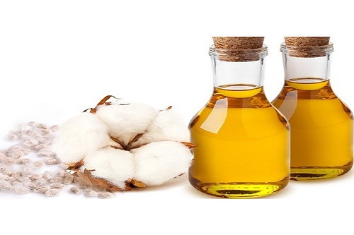 Global Cotton Seed Oil Market