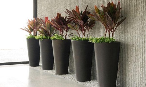 Global Planter Market